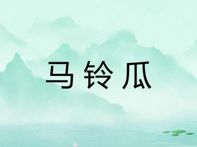 马铃瓜 马铃瓜