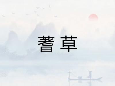 蓍草 蓍草