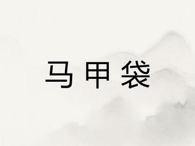 马甲袋