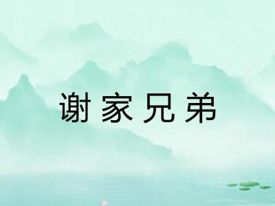 谢家兄弟 谢家兄弟