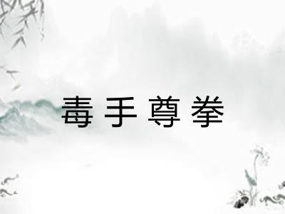 毒手尊拳 毒手尊拳