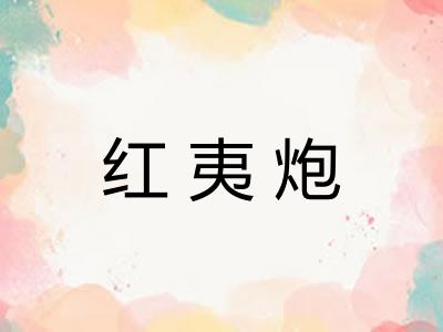 红夷炮 红夷炮