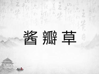 酱瓣草 酱瓣草