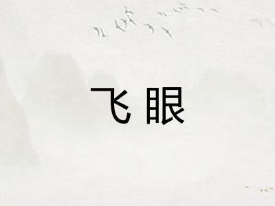 飞眼
