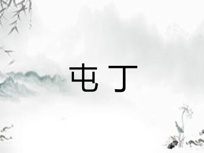 屯丁