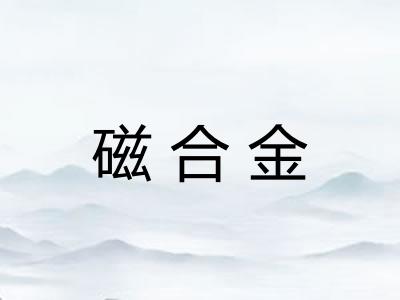 磁合金 磁合金