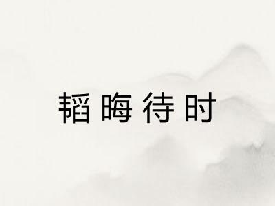 韬晦待时