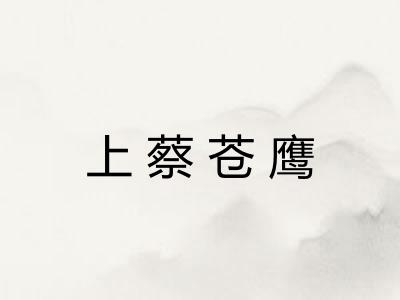 上蔡苍鹰