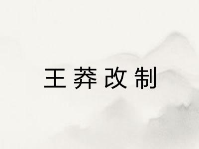王莽改制 王莽改制