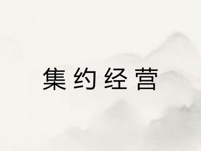 集约经营