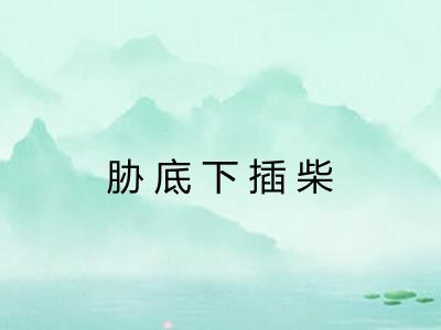 胁底下插柴