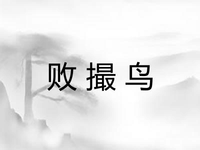 败撮鸟 败撮鸟