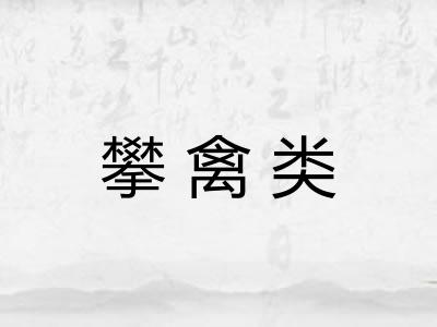 攀禽类