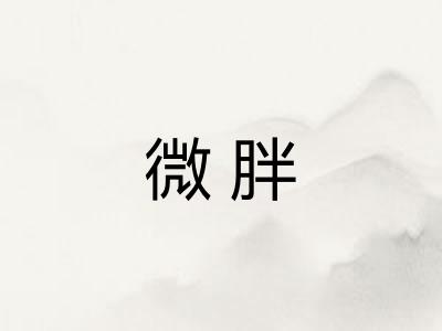 微胖