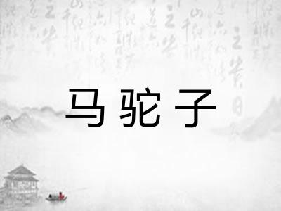马驼子 马驼子