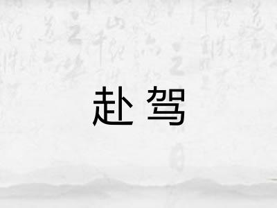 赴驾 赴驾