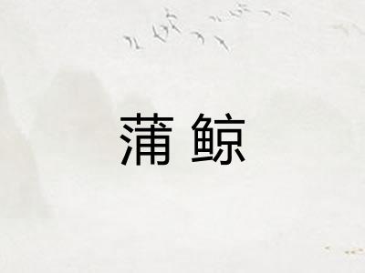 蒲鲸