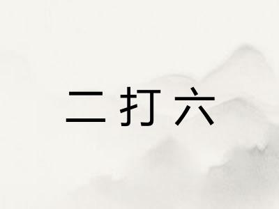 二打六