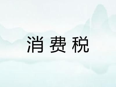 消费税 消费税