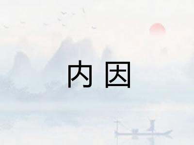 内因