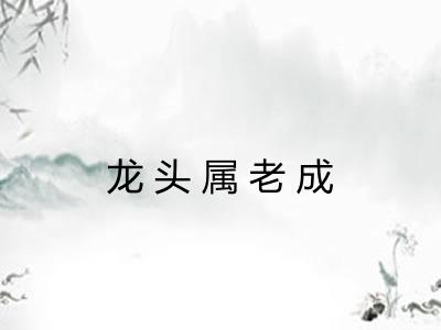 龙头属老成