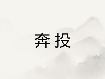 奔投