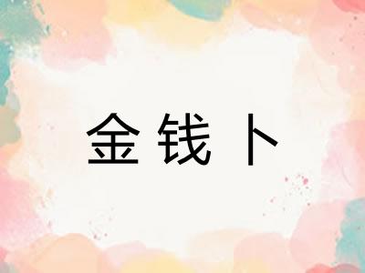 金钱卜 金钱卜