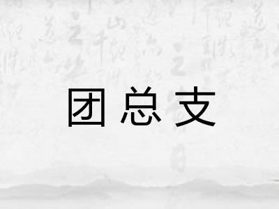 团总支