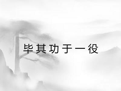 毕其功于一役