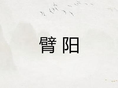臂阳 臂阳