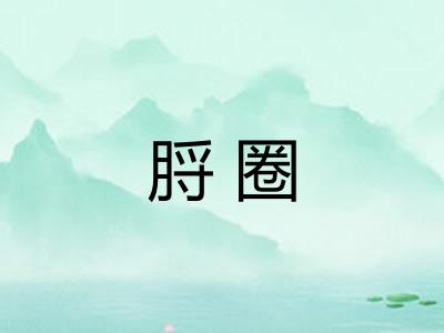 脟圈
