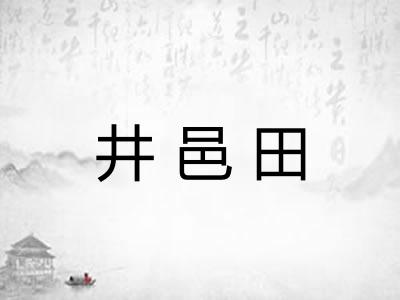 井邑田