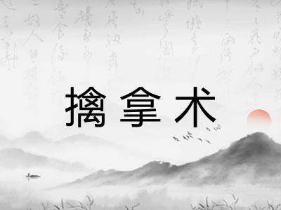 擒拿术 擒拿术