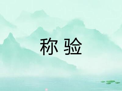 称验
