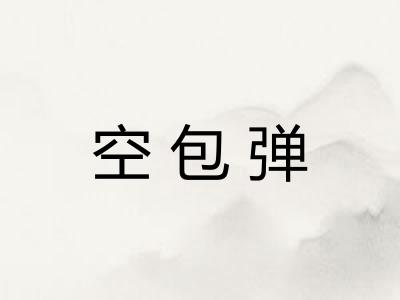 空包弹 空包弹