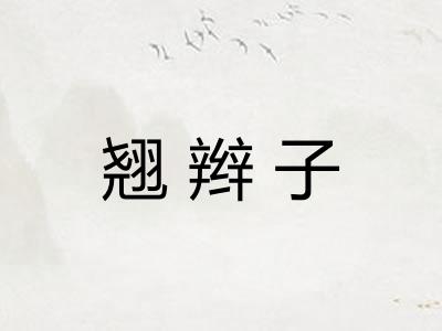 翘辫子 翘辫子