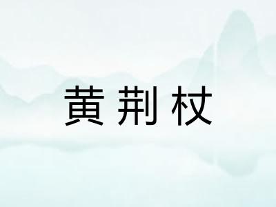 黄荆杖 黄荆杖