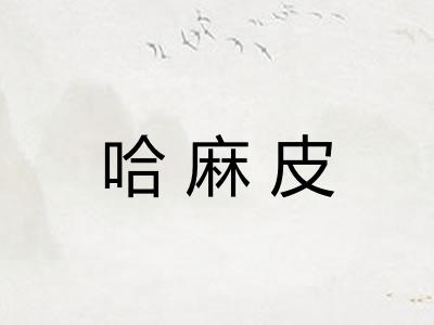 哈麻皮