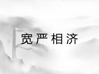 宽严相济