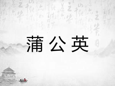 蒲公英