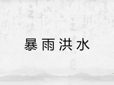 暴雨洪水 暴雨洪水