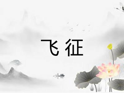 飞征