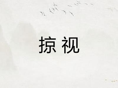 掠视