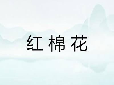 红棉花 红棉花