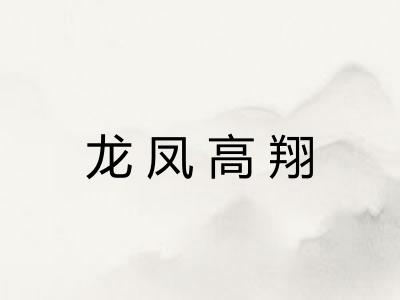 龙凤高翔