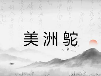 美洲鸵