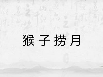 猴子捞月