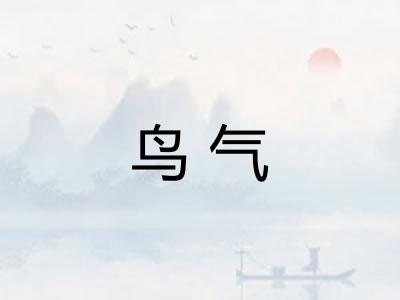 鸟气