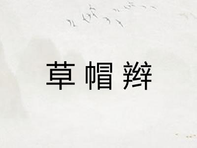 草帽辫 草帽辫