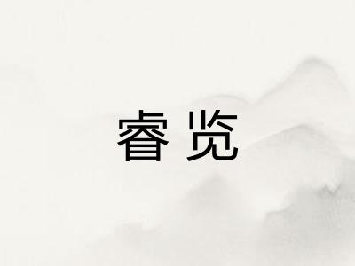 睿览